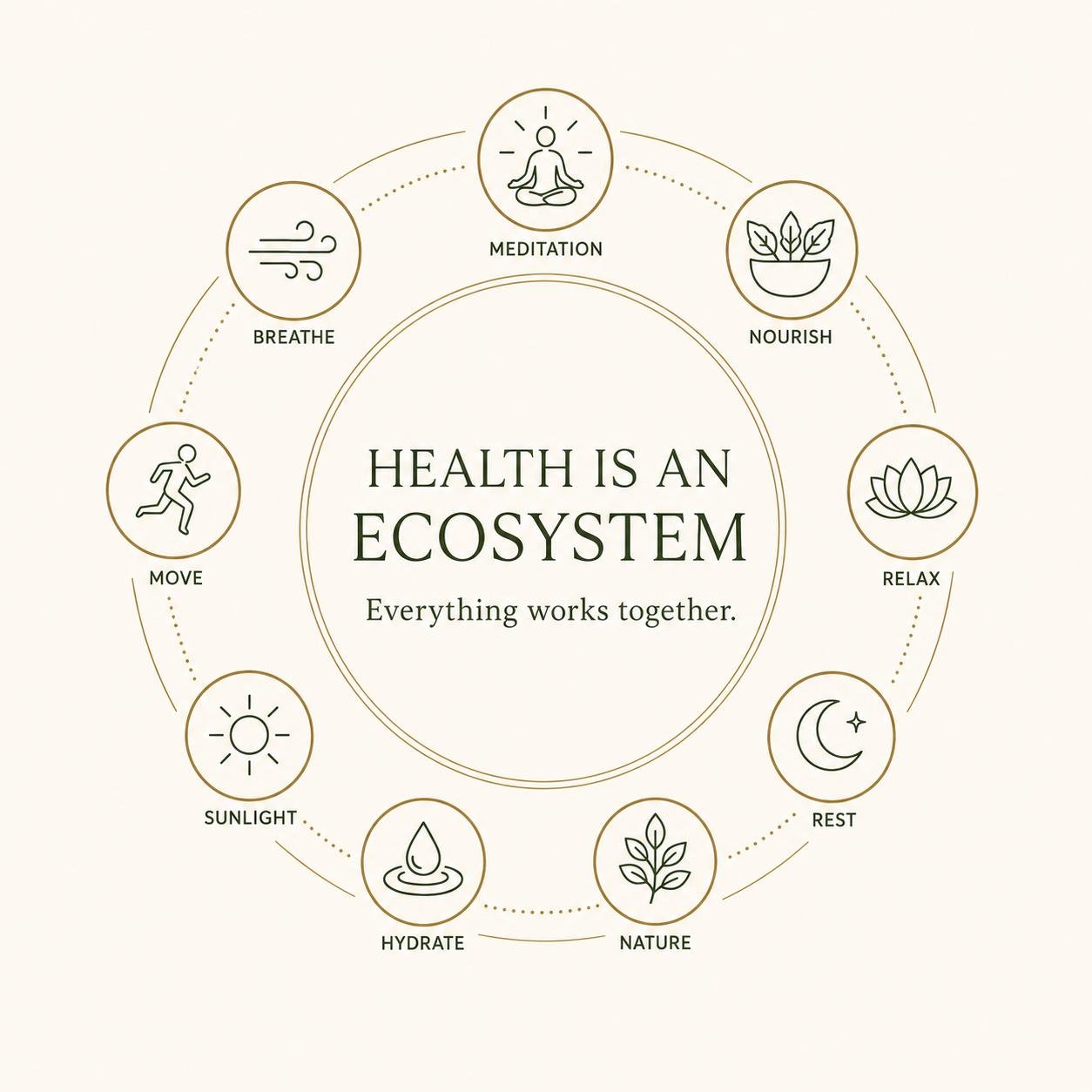 Health is an ecosystem — everything works together