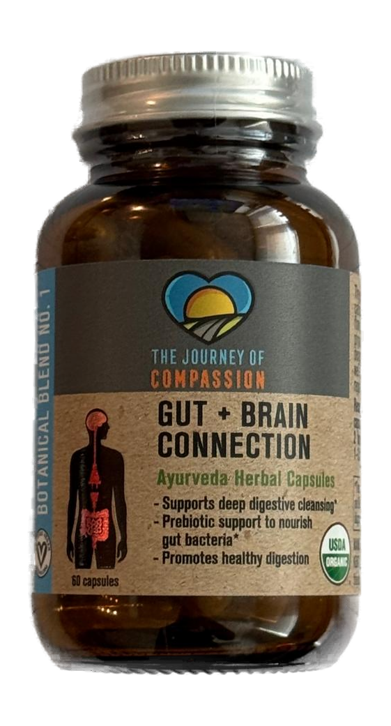 Gut + Brain Connection
